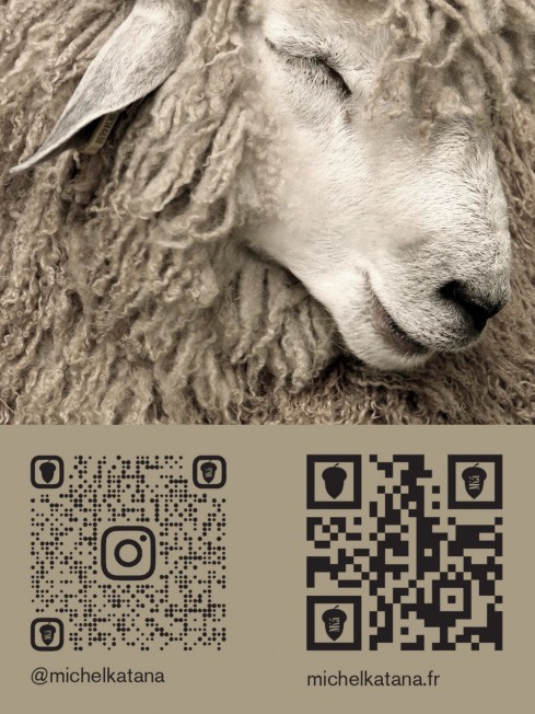 SLIGACHAN-BLUE-KILT, длиный ШАРФ из мягчайшей шерсти MERINOS из пряжи средней тяжести, коллекционная линия CONFRONTATION (Собственный Взгляд) FTQ.W220_VN2017-15/ROY